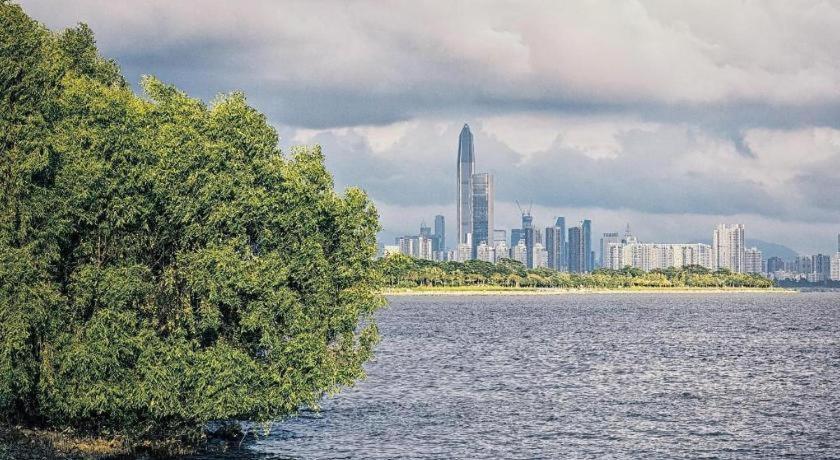 فندق فيينا 3 بيست شينزن شازوي رود برانش شينزين المظهر الخارجي الصورة